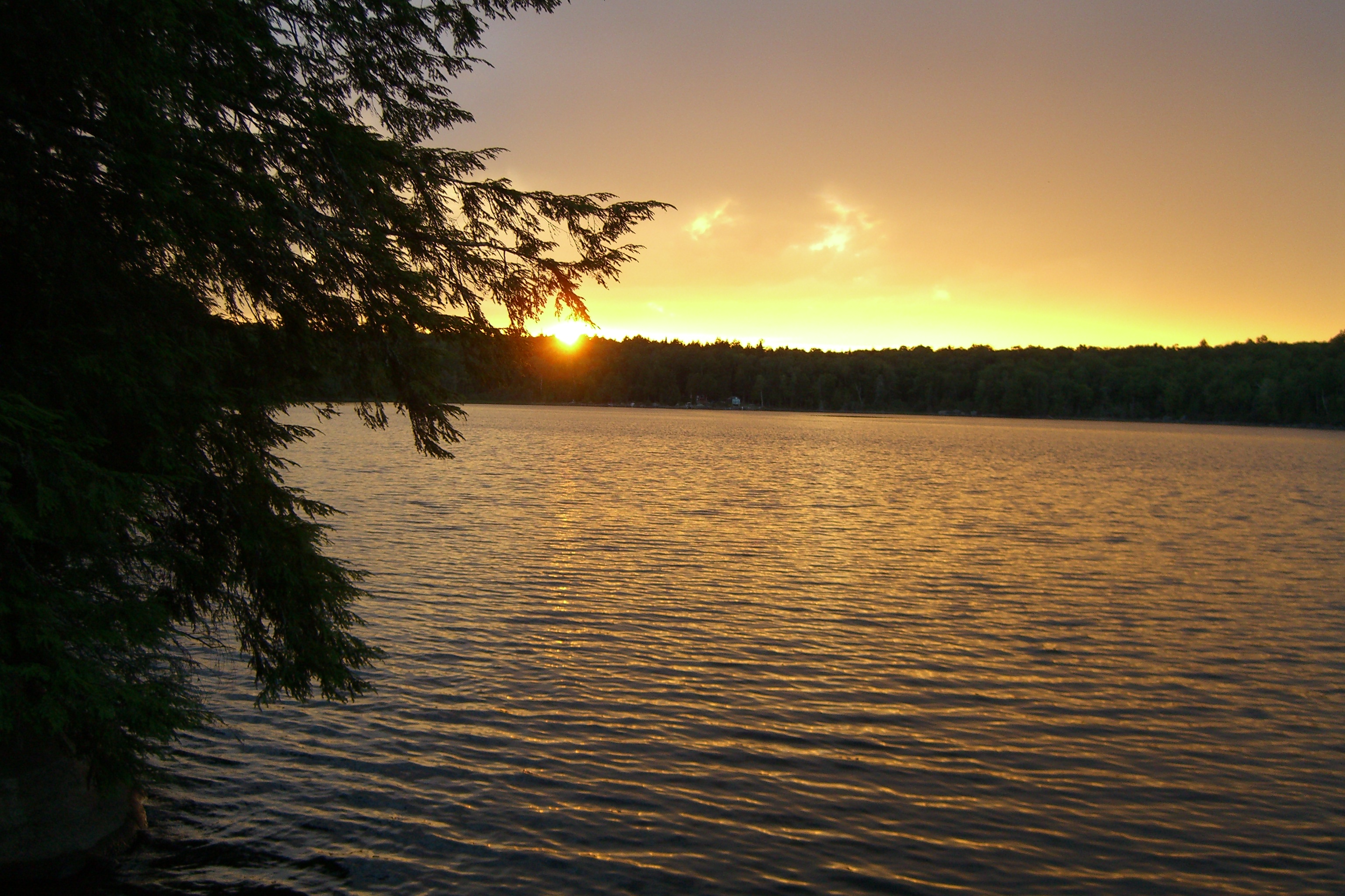 Golden sunset over the water
