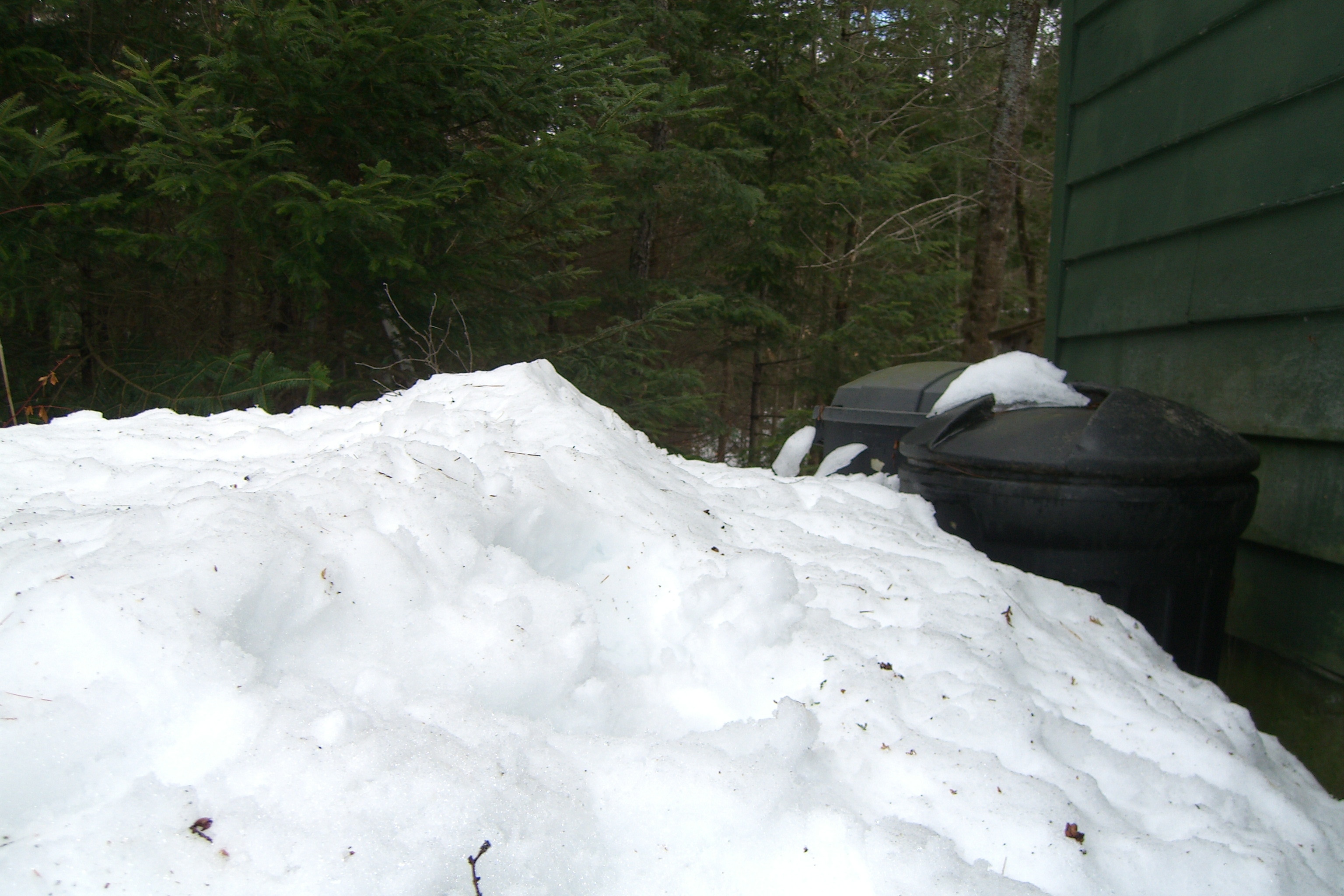 Heavy snow covering a yard and trash cans