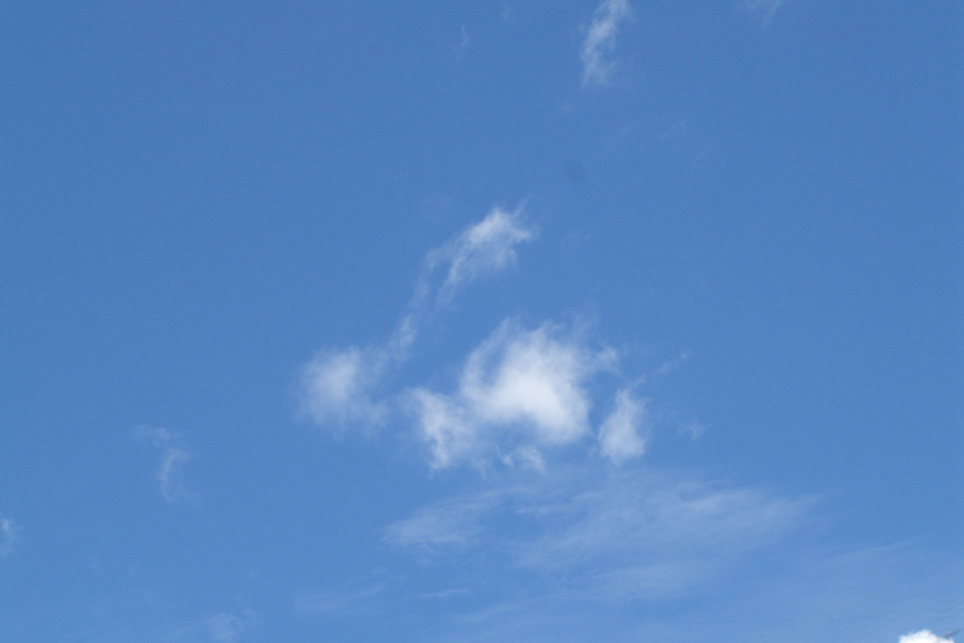 Cloud shaped like a rabbit